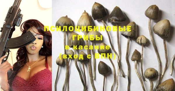 кристаллы Нягань
